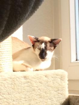 Stella Bild von Stella