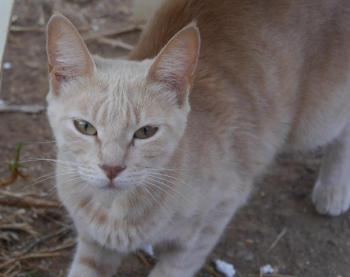 Mabelle Bild von Mabelle