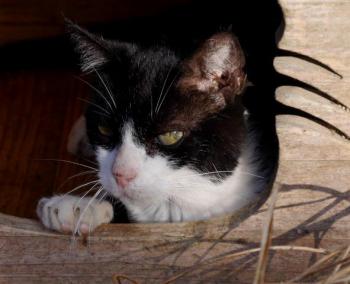 Pepa Bild von Pepa