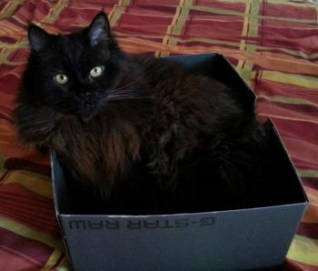 Diesel Bild von Diesel