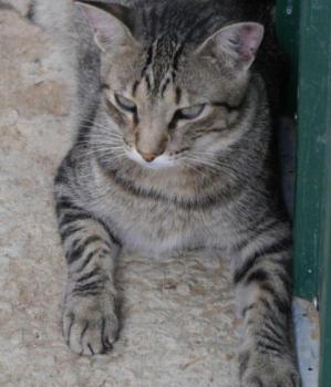 Tistou Bild von Tistou