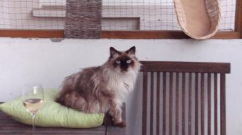 Bild von Klaus