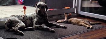 Shelay Bild von Shelay