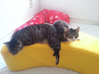 Nora Bild von Nora