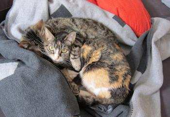 Nora Bild von Nora
