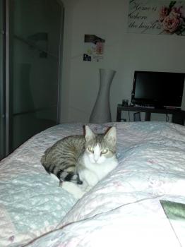 Selene Bild von Selene