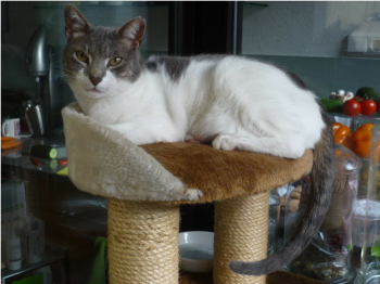 Bonita Bild von Bonita