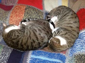 Brother Bild von Brother