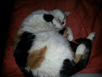 Buffy Bild von Buffy