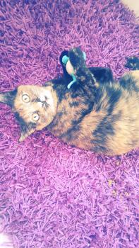 Bild von Eva