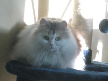 Daisy Bild von Daisy