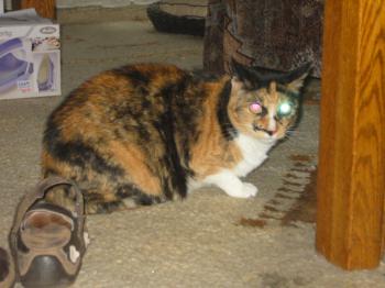 Dorotea Bild von Dorotea
