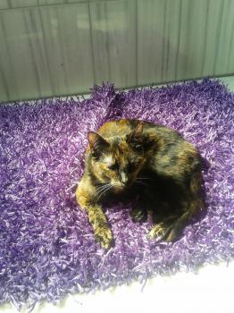 Bild von Eva