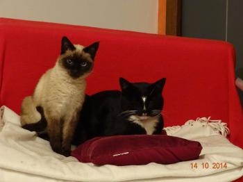 Niobe Bild von Niobe