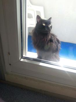 Nino Bild von Nino