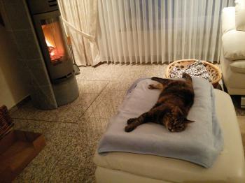 Dalila Bild von Dalila