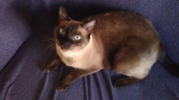 Miguel Bild von Miguel