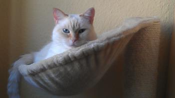 Bild von Gino