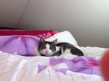 Paquito Bild von Paquito