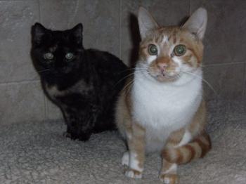 Filippo Bild von Filippo