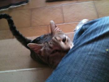 Bild von Paul