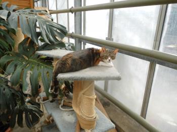 Bild von Gretel