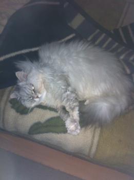 Zoey Bild von Zoey