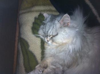 Zoey Bild von Zoey