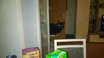 Caritina Bild von Caritina