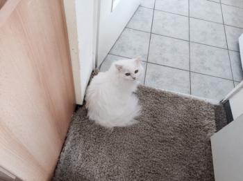 Malia Bild von Malia