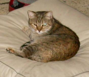 Natasha Bild von Natasha