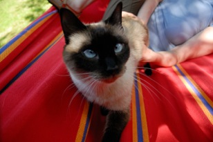Romy Bild von Romy