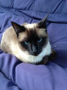 Romy Bild von Romy