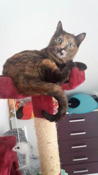 Bild von Eva