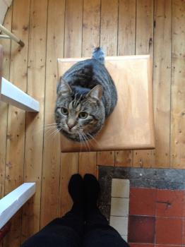 Patxi Bild von Patxi