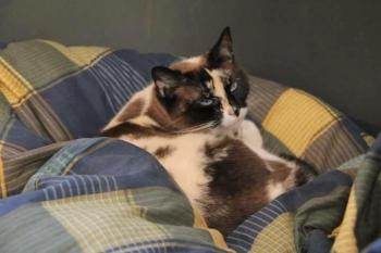 Sarah Bild von Sarah