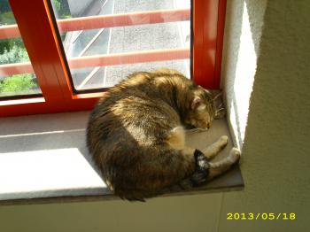 Natasha Bild von Natasha