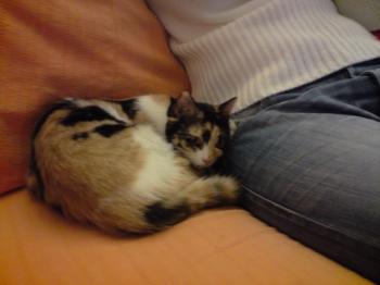 Kira Bild von Kira