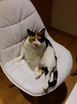 Michus Bild von Michus