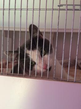 Bild von Jacky