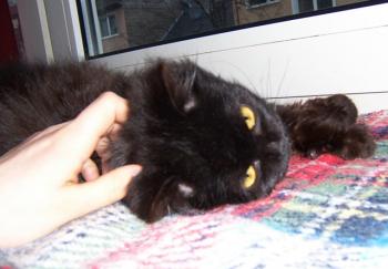 Xena Bild von Xena