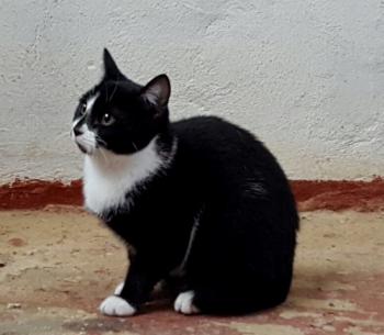Cirah Bild von Cirah