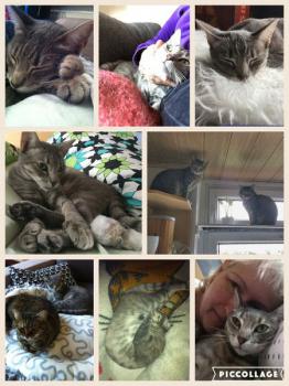 Bild von Sookie