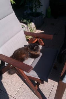 Abi Bild von Abi