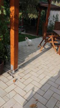 4681 - Milow Bild von 4681 - Milow