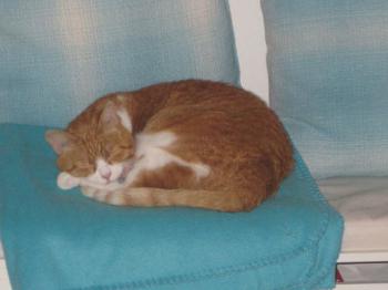 Judith Bild von Judith