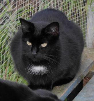 Bild von Sally