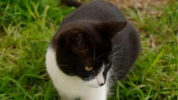 Wanda Bild von Wanda