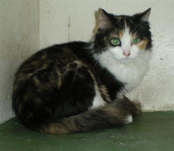 99 Bild von Mara - 99