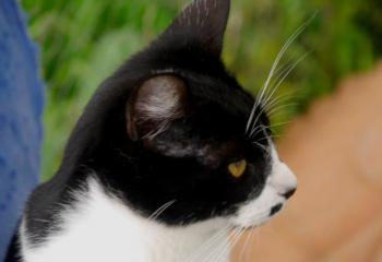 Bascha Bild von Bascha